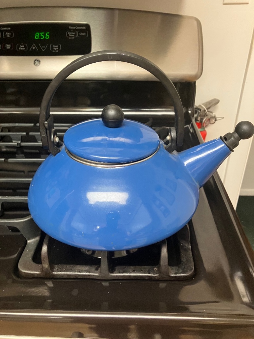 Le Creuset tea kettle